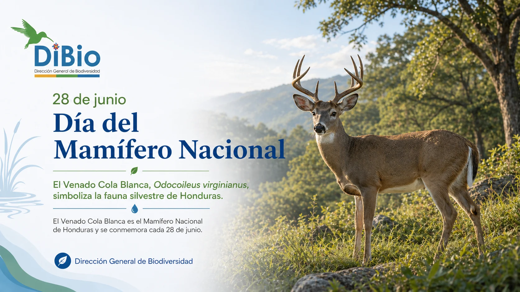 Día del Mamífero Nacional